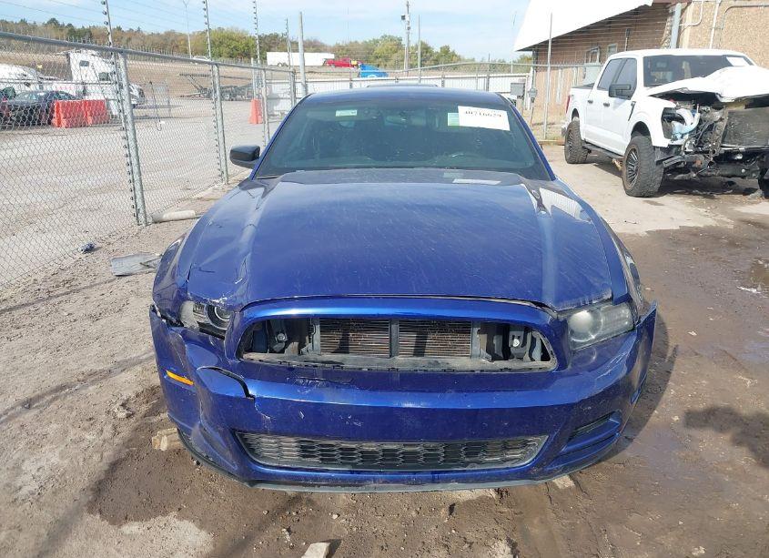 Photo 12 of 2014 Ford Mustang V6 (VIN 1ZVBP8AM5E5203087)