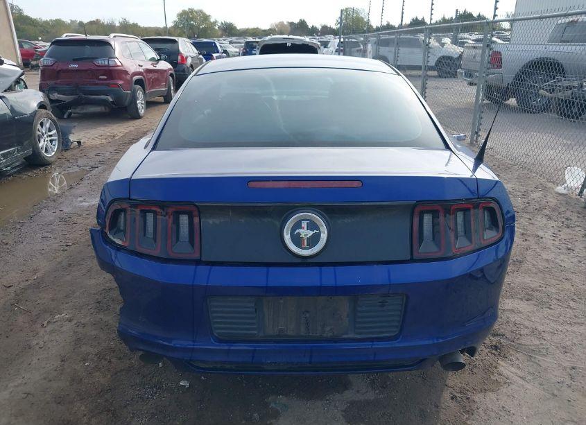 Photo 16 of 2014 Ford Mustang V6 (VIN 1ZVBP8AM5E5203087)