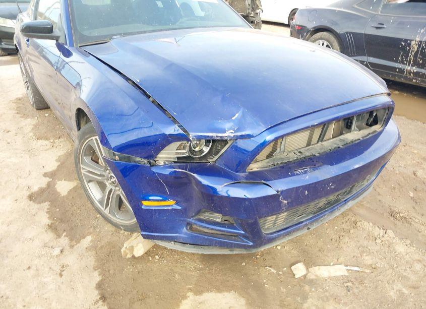 Photo 6 of 2014 Ford Mustang V6 (VIN 1ZVBP8AM5E5203087)
