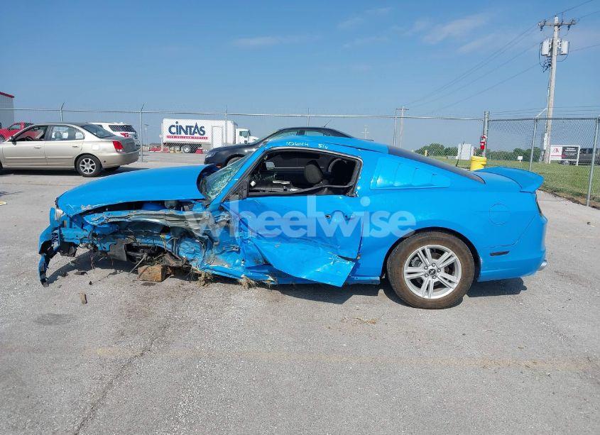 Photo 15 of 2014 Ford Mustang V6 (VIN 1ZVBP8AM5E5250006)