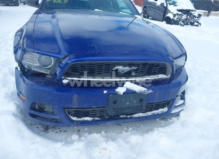 Photo 12 of 2014 Ford Mustang V6 (VIN 1ZVBP8AM5E5284169)