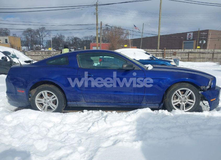 Photo 14 of 2014 Ford Mustang V6 (VIN 1ZVBP8AM5E5284169)