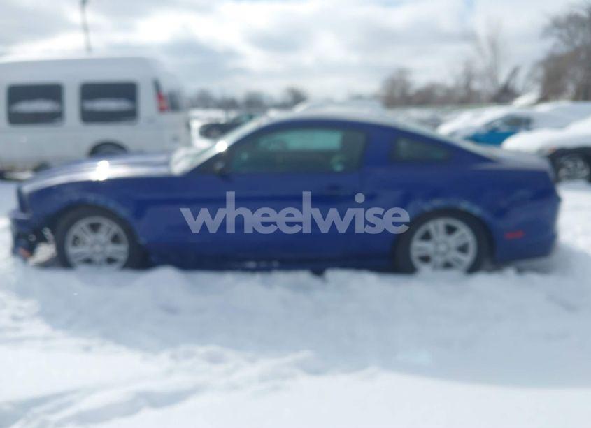 Photo 15 of 2014 Ford Mustang V6 (VIN 1ZVBP8AM5E5284169)