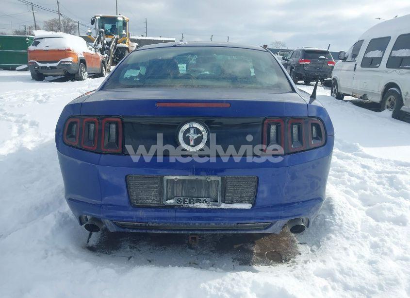 Photo 17 of 2014 Ford Mustang V6 (VIN 1ZVBP8AM5E5284169)