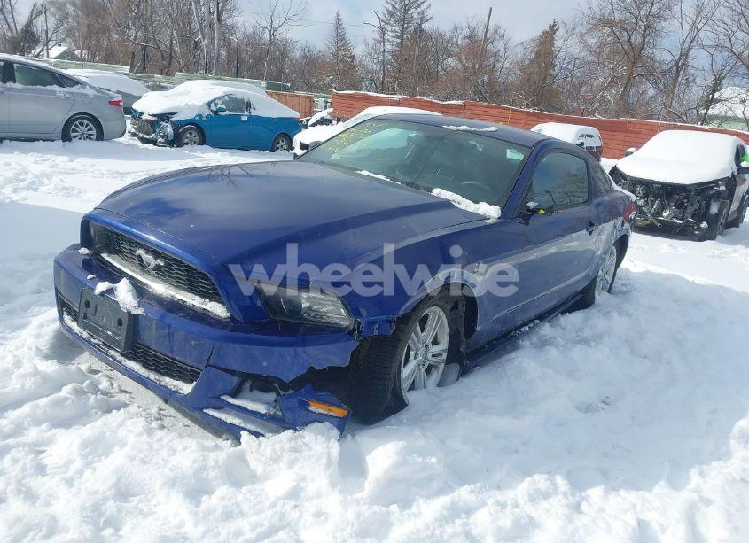 Photo 2 of 2014 Ford Mustang V6 (VIN 1ZVBP8AM5E5284169)