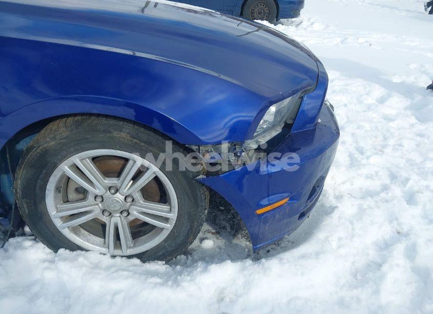 Photo 22 of 2014 Ford Mustang V6 (VIN 1ZVBP8AM5E5284169)