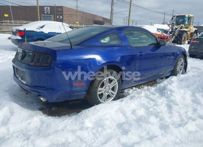 Photo 4 of 2014 Ford Mustang V6 (VIN 1ZVBP8AM5E5284169)