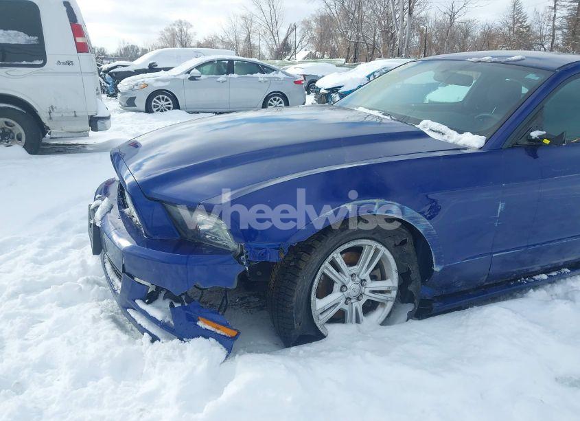 Photo 6 of 2014 Ford Mustang V6 (VIN 1ZVBP8AM5E5284169)