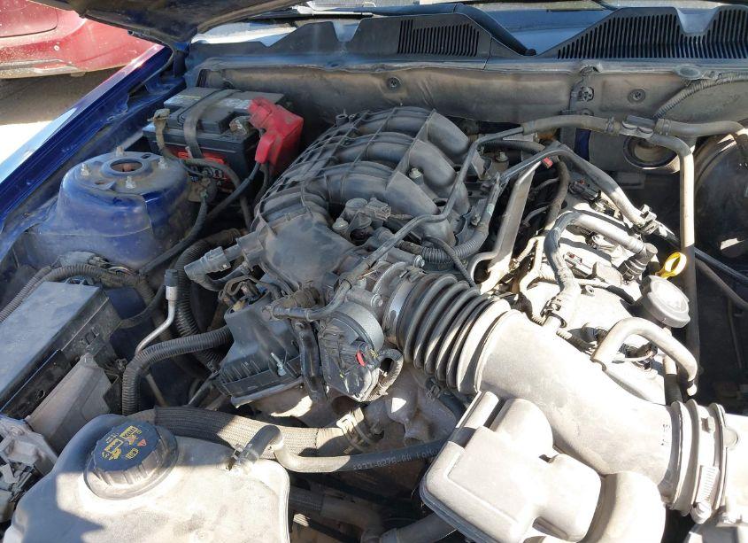 Photo 10 of 2014 Ford Mustang V6 (VIN 1ZVBP8AM5E5291283)