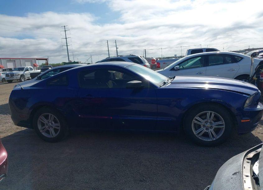 Photo 13 of 2014 Ford Mustang V6 (VIN 1ZVBP8AM5E5291283)