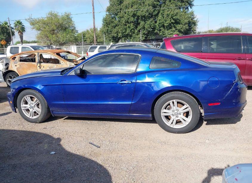 Photo 14 of 2014 Ford Mustang V6 (VIN 1ZVBP8AM5E5291283)