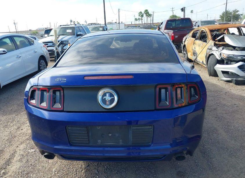 Photo 16 of 2014 Ford Mustang V6 (VIN 1ZVBP8AM5E5291283)