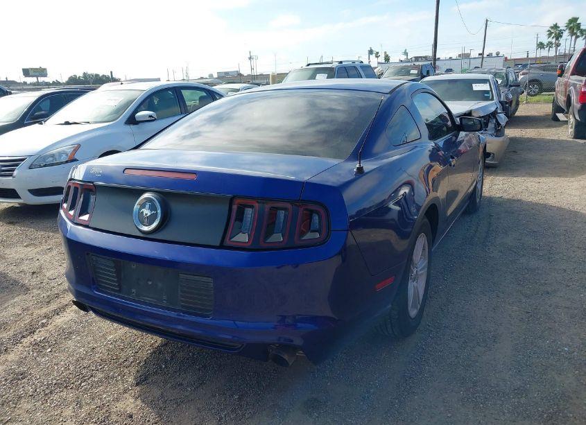 Photo 4 of 2014 Ford Mustang V6 (VIN 1ZVBP8AM5E5291283)
