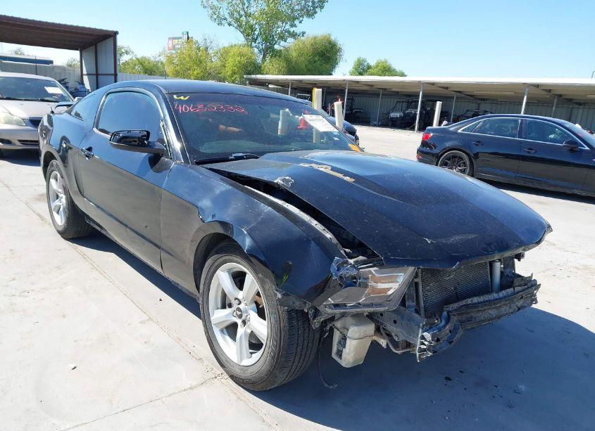 2011 Ford Mustang V6 PREMIUM (VIN 1ZVBP8AM6B5149861) main photo