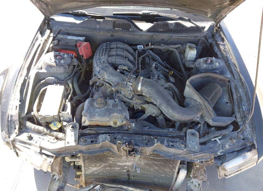 Photo 10 of 2011 Ford Mustang V6 PREMIUM (VIN 1ZVBP8AM6B5149861)