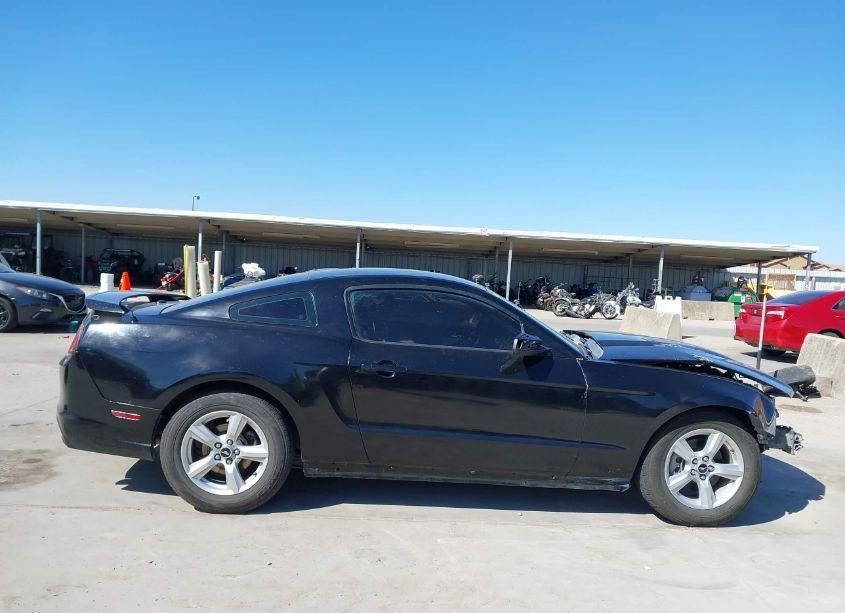 Photo 14 of 2011 Ford Mustang V6 PREMIUM (VIN 1ZVBP8AM6B5149861)