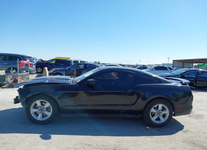 Photo 15 of 2011 Ford Mustang V6 PREMIUM (VIN 1ZVBP8AM6B5149861)