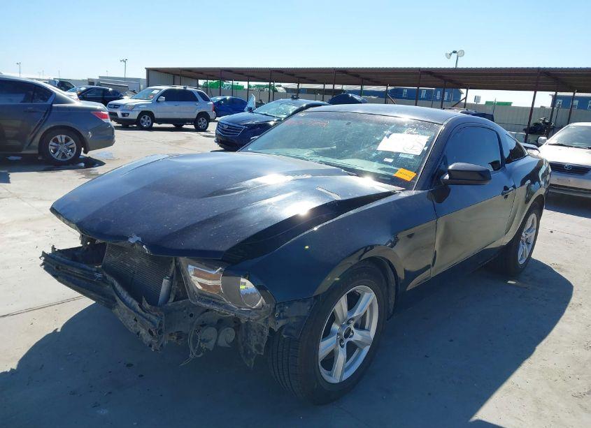 Photo 2 of 2011 Ford Mustang V6 PREMIUM (VIN 1ZVBP8AM6B5149861)