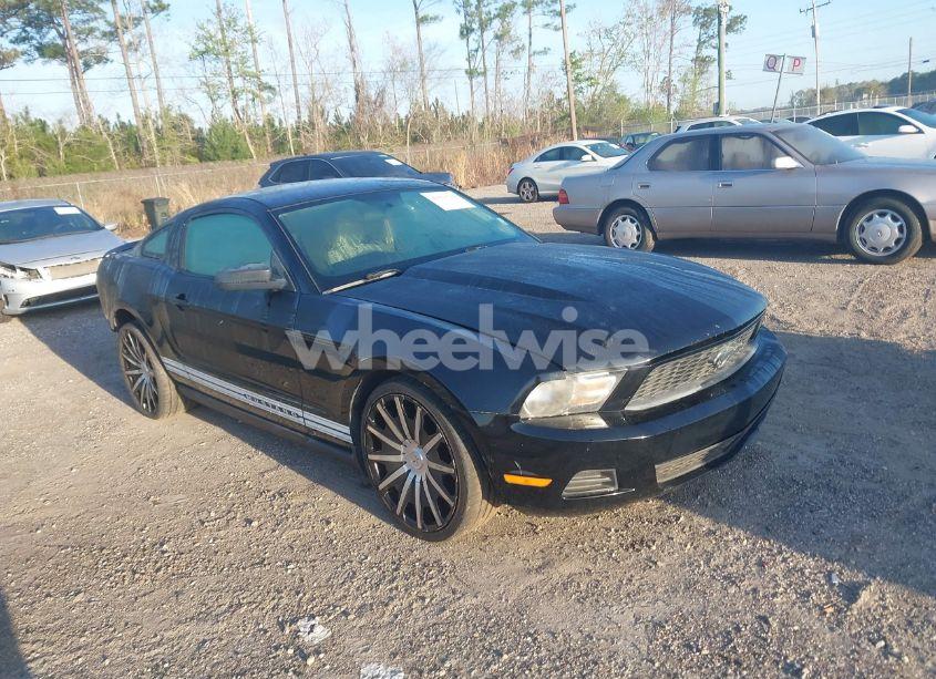2011 Ford Mustang V6 (VIN 1ZVBP8AM6B5160195) main photo