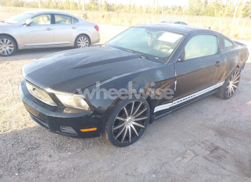 Photo 2 of 2011 Ford Mustang V6 (VIN 1ZVBP8AM6B5160195)