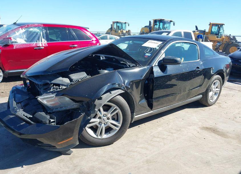 Photo 2 of 2011 Ford Mustang V6 (VIN 1ZVBP8AM6B5169821)