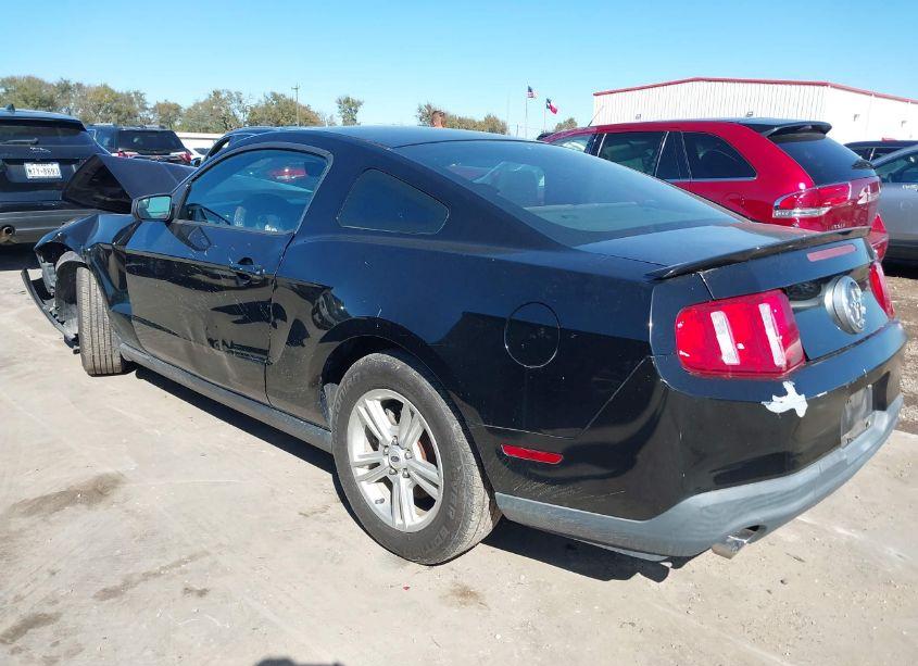 Photo 3 of 2011 Ford Mustang V6 (VIN 1ZVBP8AM6B5169821)