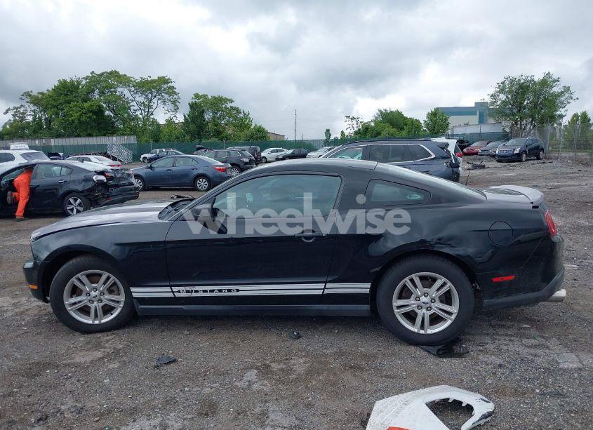Photo 15 of 2012 Ford Mustang V6 (VIN 1ZVBP8AM6C5258046)