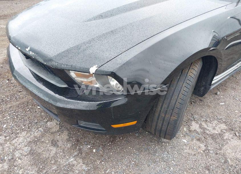 Photo 18 of 2012 Ford Mustang V6 (VIN 1ZVBP8AM6C5258046)