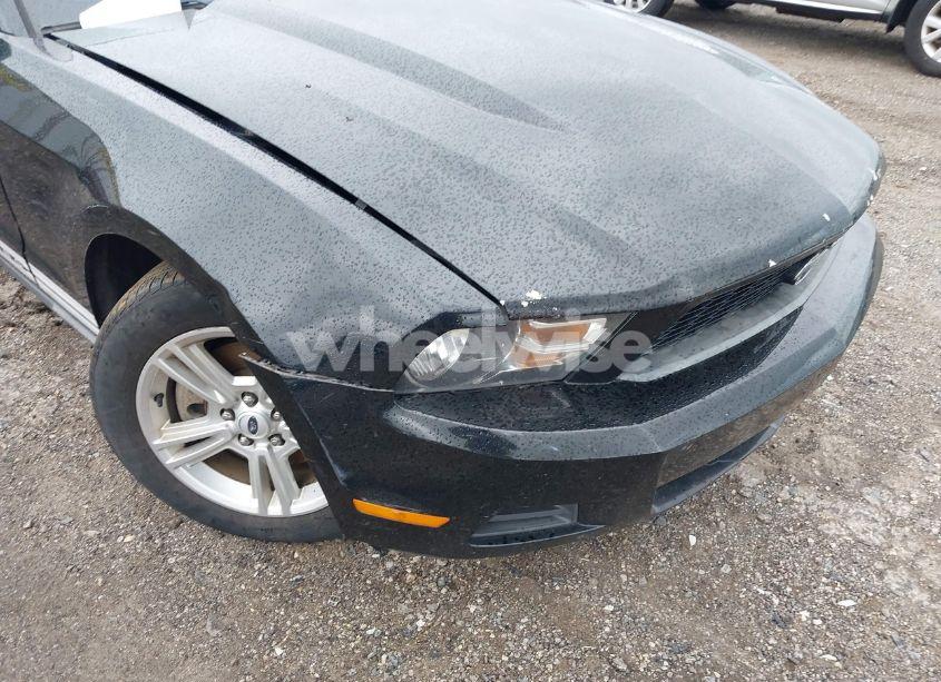 Photo 21 of 2012 Ford Mustang V6 (VIN 1ZVBP8AM6C5258046)