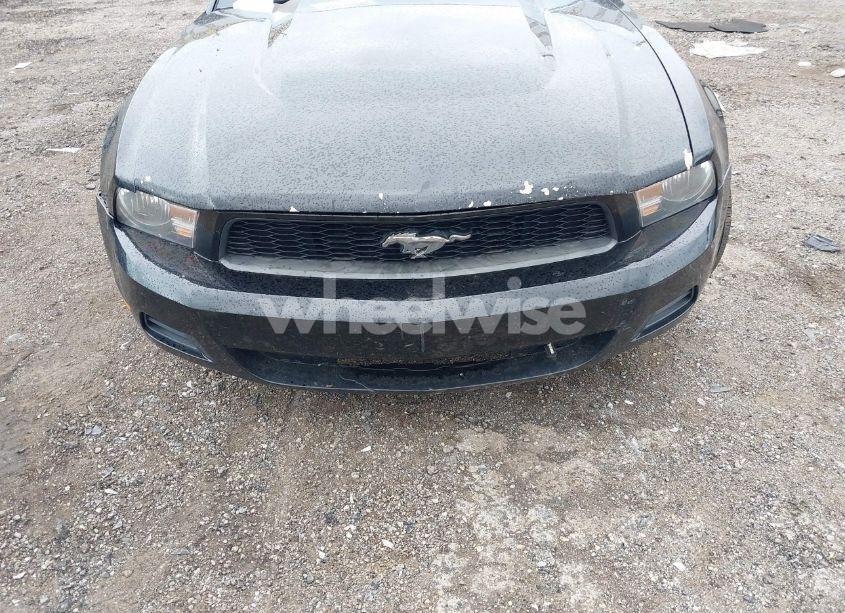 Photo 6 of 2012 Ford Mustang V6 (VIN 1ZVBP8AM6C5258046)