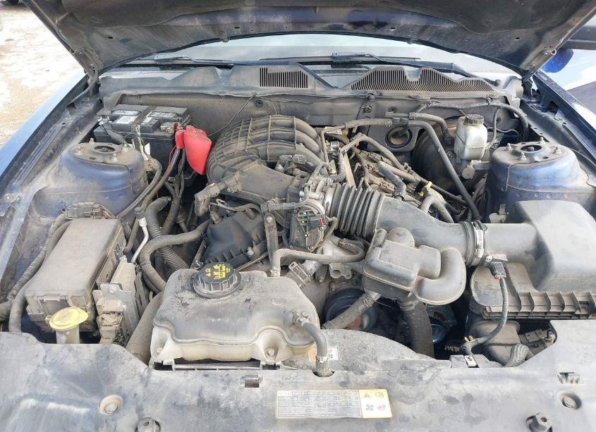 Photo 10 of 2012 Ford Mustang V6 (VIN 1ZVBP8AM6C5264865)