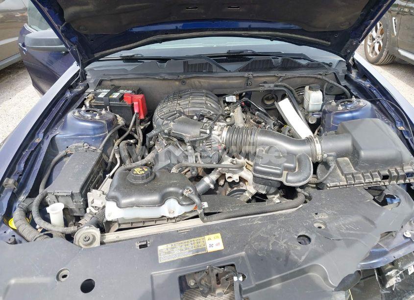 Photo 10 of 2012 Ford Mustang V6 (VIN 1ZVBP8AM6C5271931)