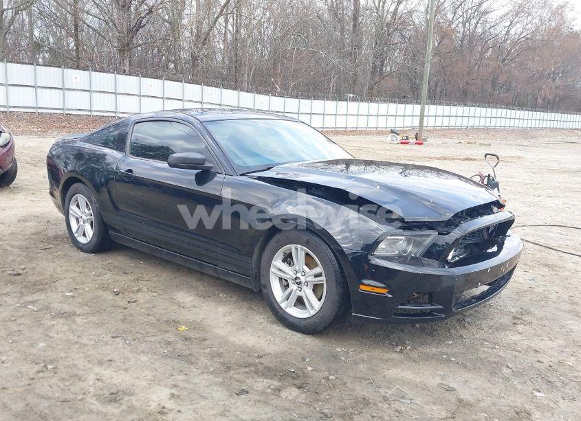 2013 Ford Mustang V6 (VIN 1ZVBP8AM6D5253611) main photo