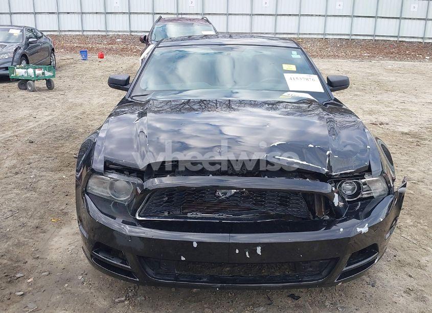 Photo 12 of 2013 Ford Mustang V6 (VIN 1ZVBP8AM6D5253611)