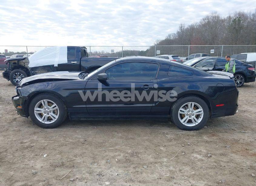 Photo 14 of 2013 Ford Mustang V6 (VIN 1ZVBP8AM6D5253611)