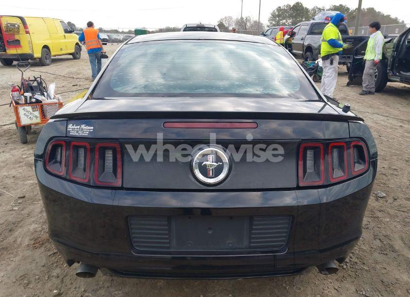 Photo 16 of 2013 Ford Mustang V6 (VIN 1ZVBP8AM6D5253611)