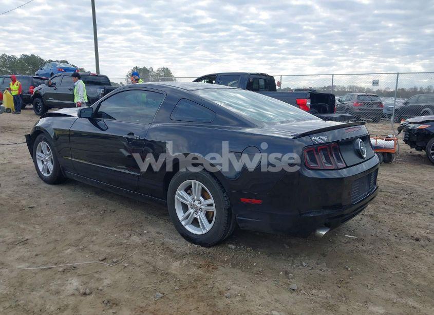 Photo 3 of 2013 Ford Mustang V6 (VIN 1ZVBP8AM6D5253611)