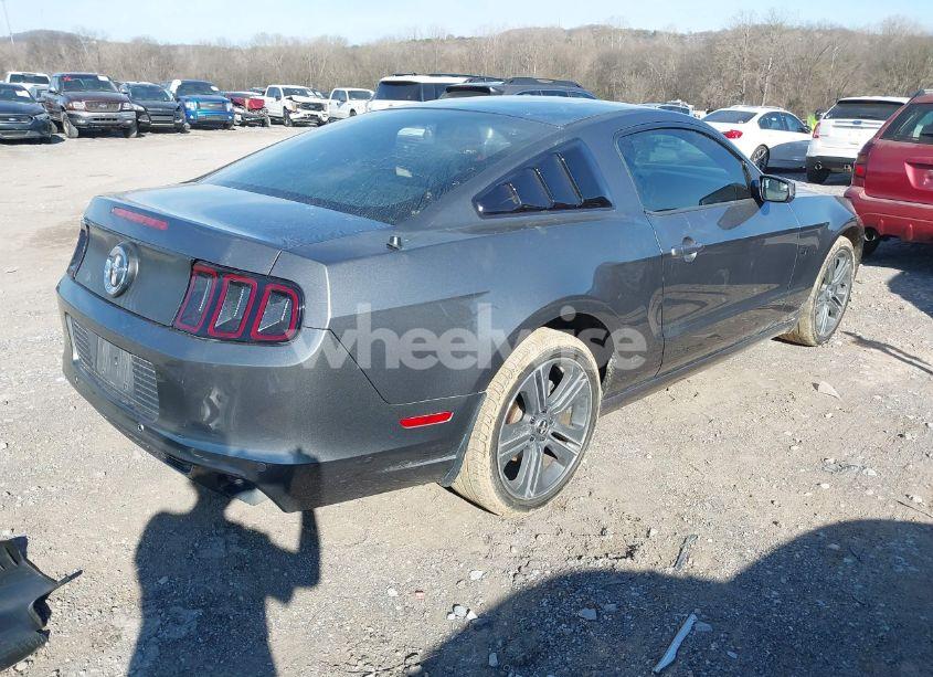 Photo 4 of 2013 Ford Mustang V6 (VIN 1ZVBP8AM6D5273387)
