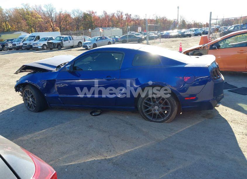 Photo 13 of 2013 Ford Mustang V6 PREMIUM (VIN 1ZVBP8AM6D5273843)