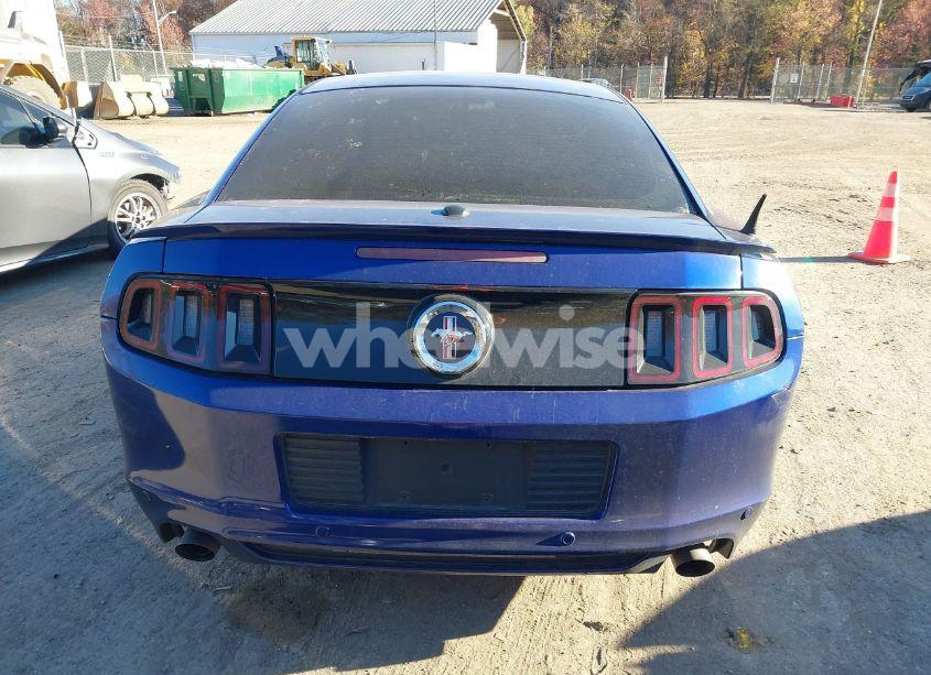 Photo 15 of 2013 Ford Mustang V6 PREMIUM (VIN 1ZVBP8AM6D5273843)