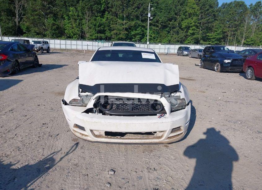 Photo 12 of 2013 Ford Mustang V6 (VIN 1ZVBP8AM6D5275978)