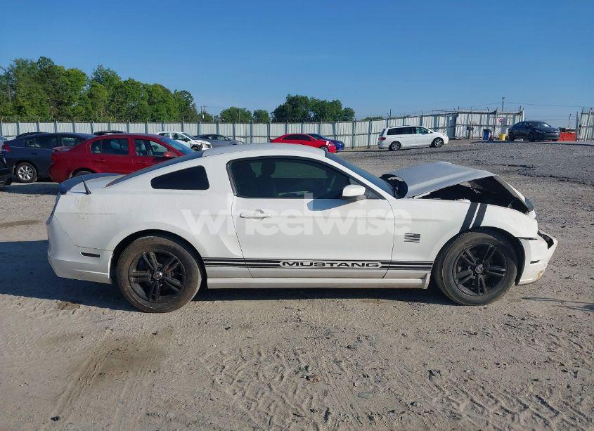 Photo 13 of 2013 Ford Mustang V6 (VIN 1ZVBP8AM6D5275978)