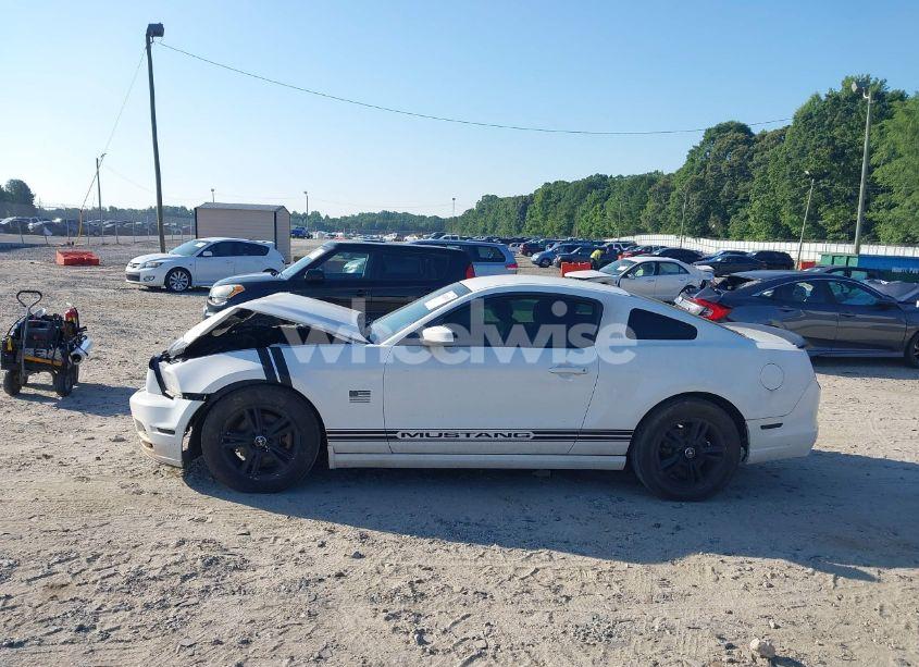 Photo 14 of 2013 Ford Mustang V6 (VIN 1ZVBP8AM6D5275978)
