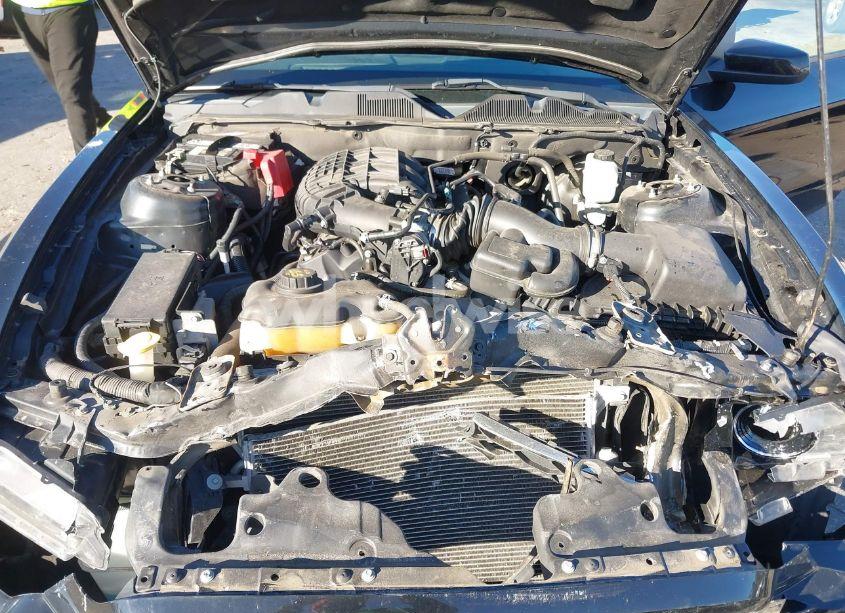 Photo 10 of 2014 Ford Mustang V6 PREMIUM (VIN 1ZVBP8AM6E5200490)