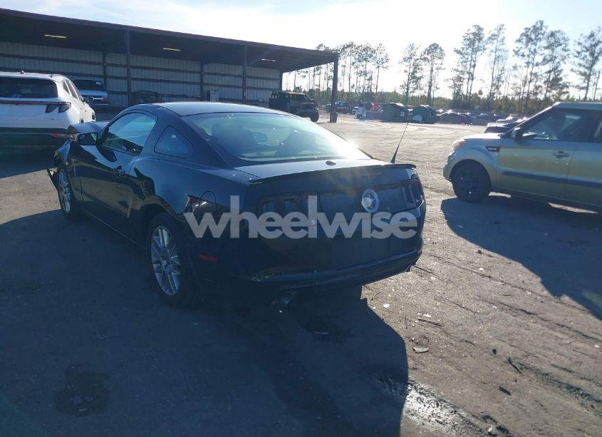 Photo 3 of 2014 Ford Mustang V6 PREMIUM (VIN 1ZVBP8AM6E5200490)