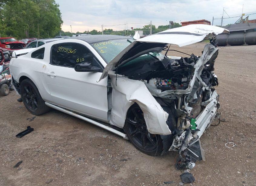 2014 Ford Mustang V6 (VIN 1ZVBP8AM6E5261774) main photo