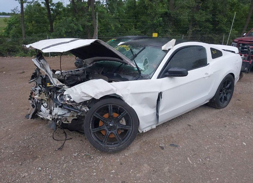 Photo 2 of 2014 Ford Mustang V6 (VIN 1ZVBP8AM6E5261774)