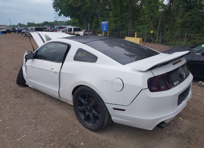 Photo 3 of 2014 Ford Mustang V6 (VIN 1ZVBP8AM6E5261774)