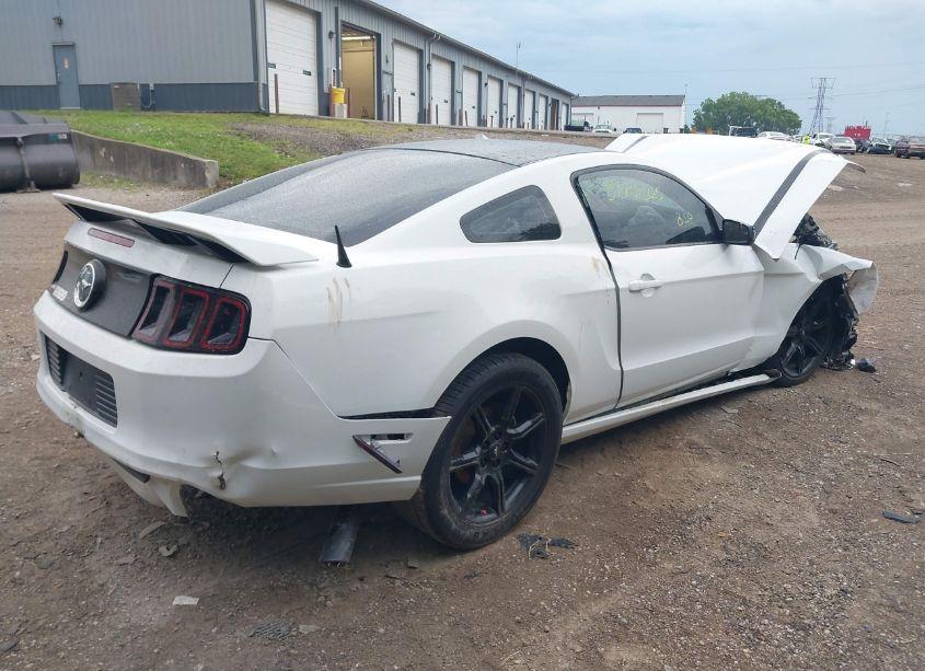 Photo 4 of 2014 Ford Mustang V6 (VIN 1ZVBP8AM6E5261774)