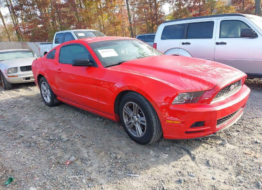 2014 Ford Mustang V6 (VIN 1ZVBP8AM6E5280003) main photo